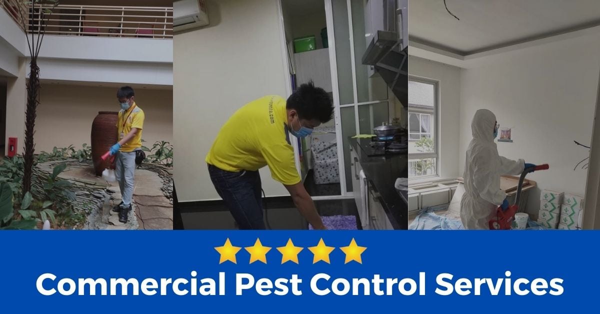 Commercial Pest Control Services