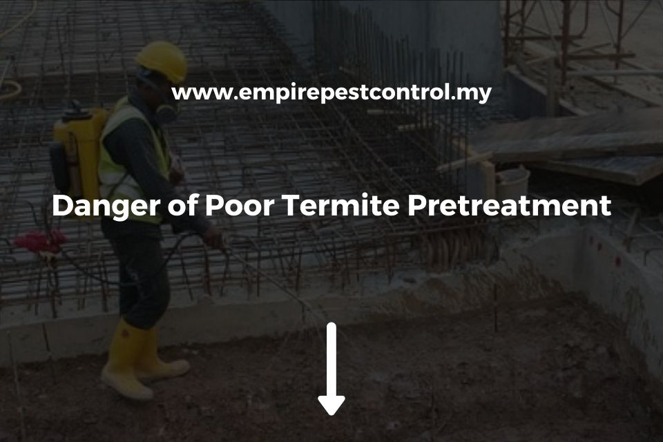 Danger of Poor Termite Pretreatment