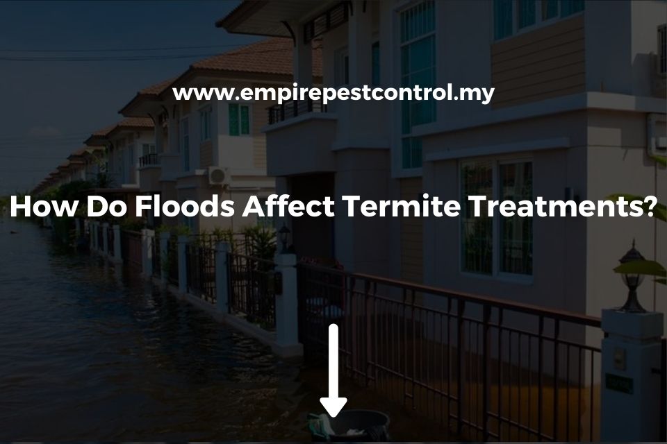 How Do Floods Affect Termite Treatments?