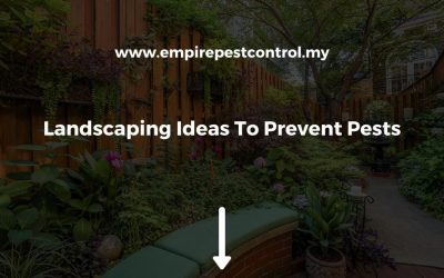 Landscaping Ideas To Prevent Pests