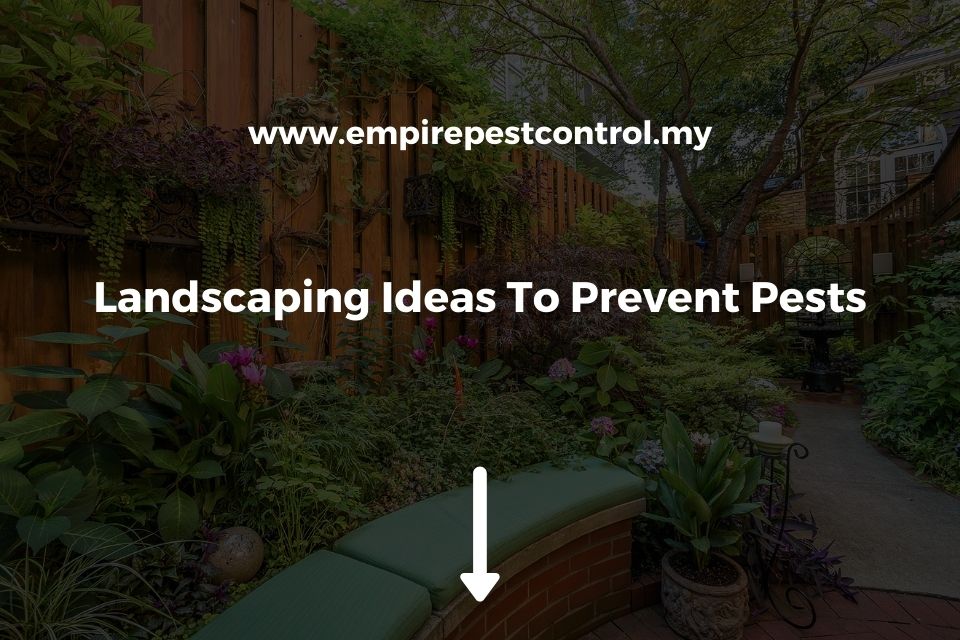 Landscaping Ideas To Prevent Pests
