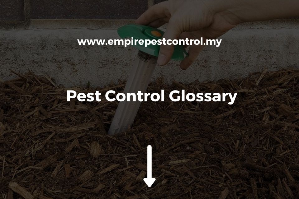 Pest Control Glossary