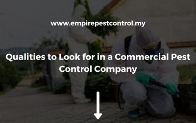 Qualities to Look for in a Commercial Pest Control Company [Infographic]