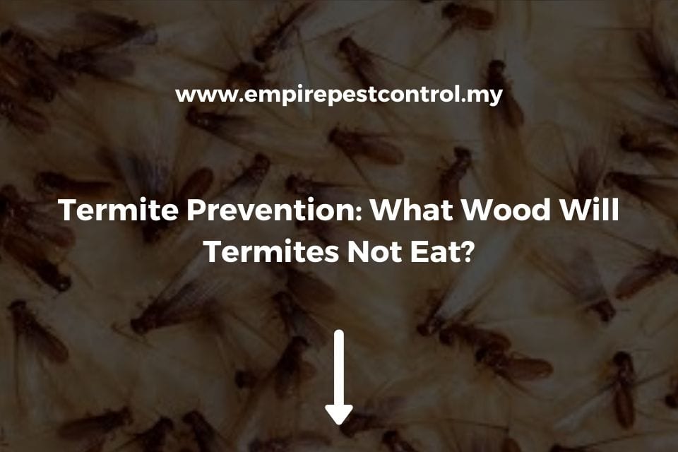 Termite Prevention: What Wood Will Termites Not Eat?