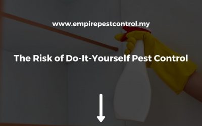 The Risk of Do-It-Yourself Pest Control