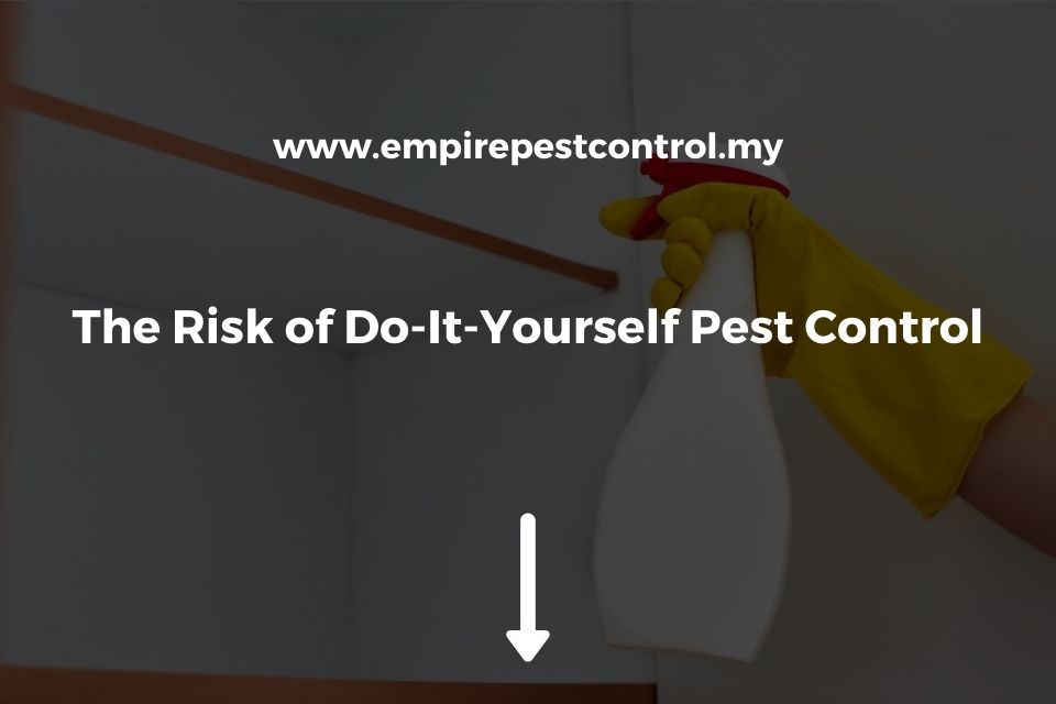 The Risk of Do-It-Yourself Pest Control