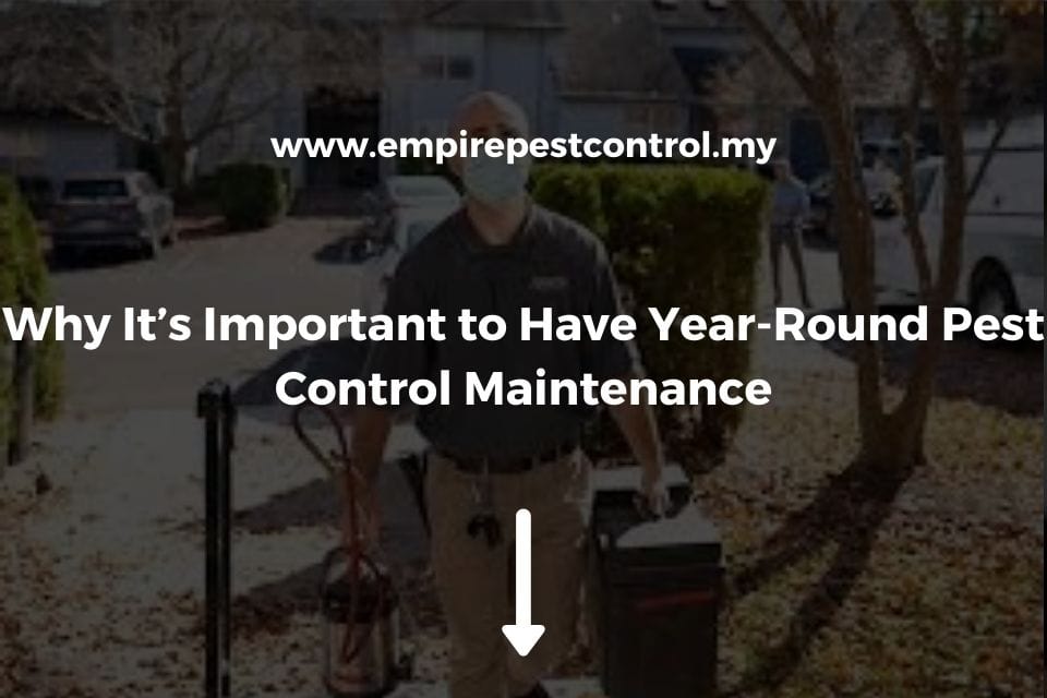 https://www.empirepestcontrol.my/blog/why-its-important-to-have-year-round-pest-control-maintenance/