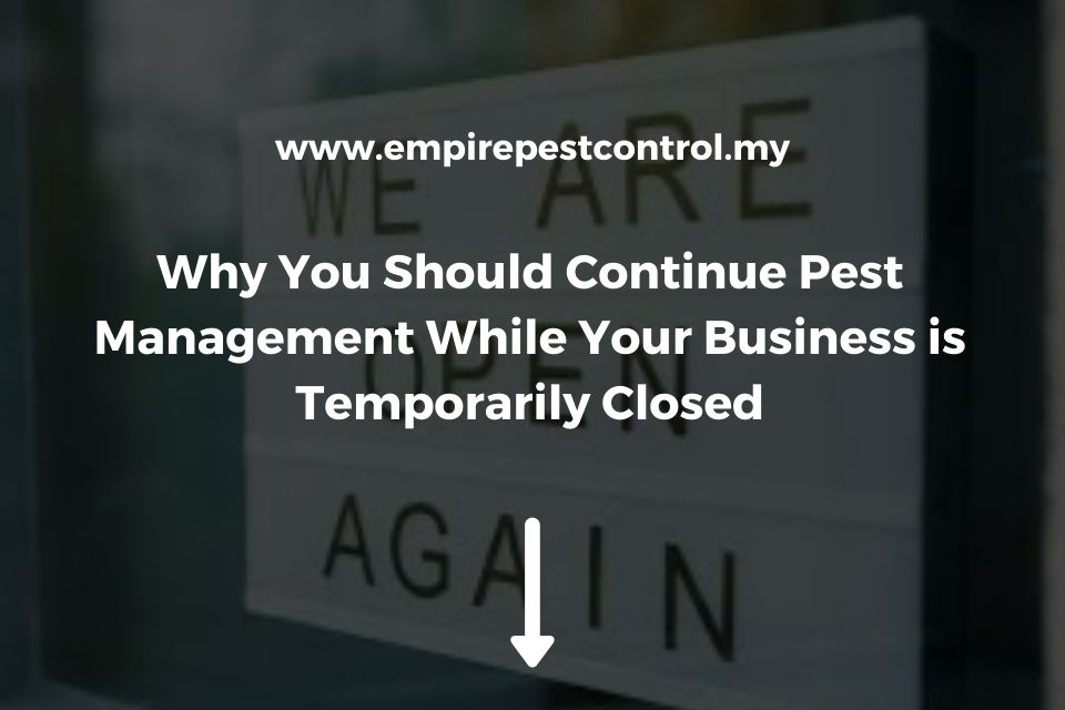 Why You Should Continue Pest Management While Your Business is Temporarily Closed