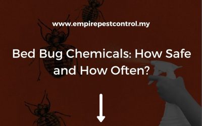 Bed Bug Chemicals: How Safe and How Often?