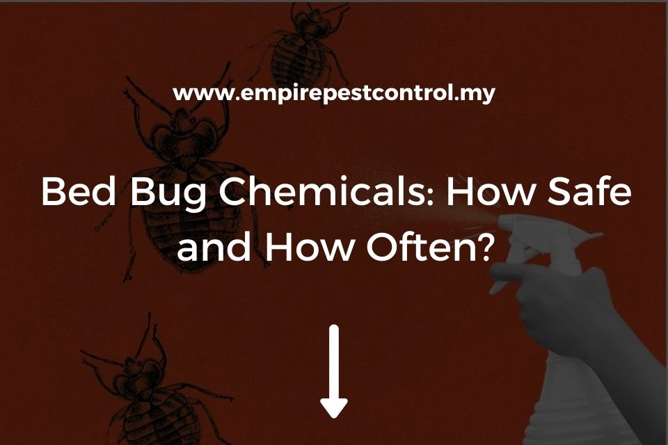 Bed Bug Chemicals: How Safe and How Often?