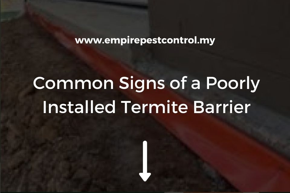 Common Signs of a Poorly Installed Termite Barrier