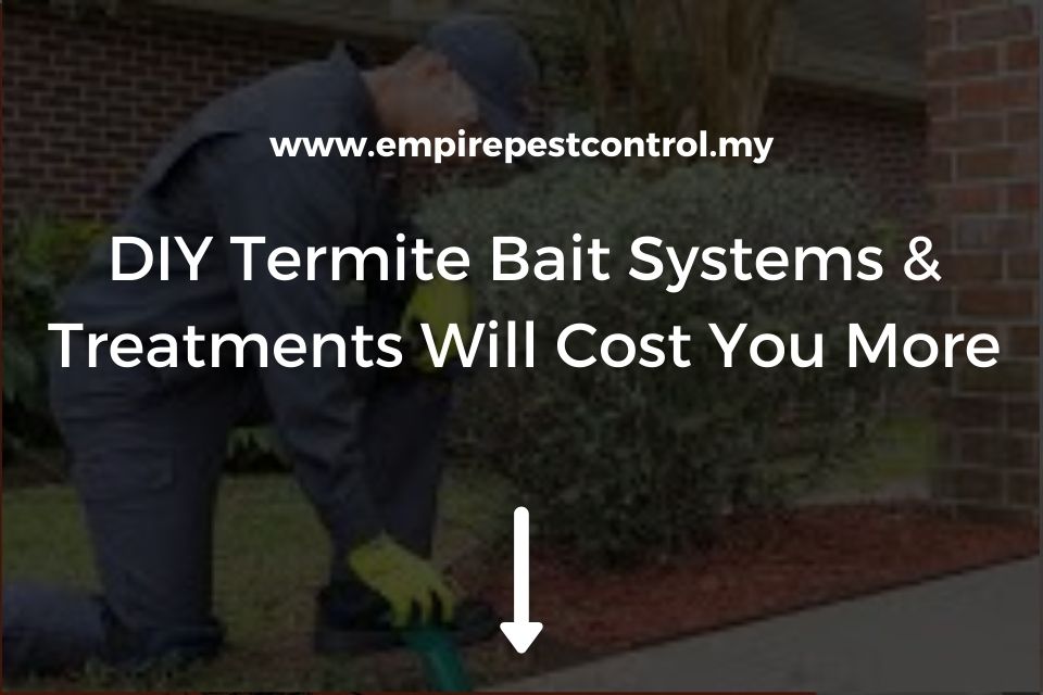 DIY Termite Bait Systems & Treatments Will Cost You More