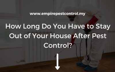 How Long Do You Have to Stay Out of Your House After Pest Control?