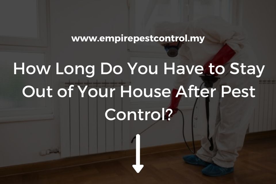 How Long Do You Have to Stay Out of Your House After Pest Control?