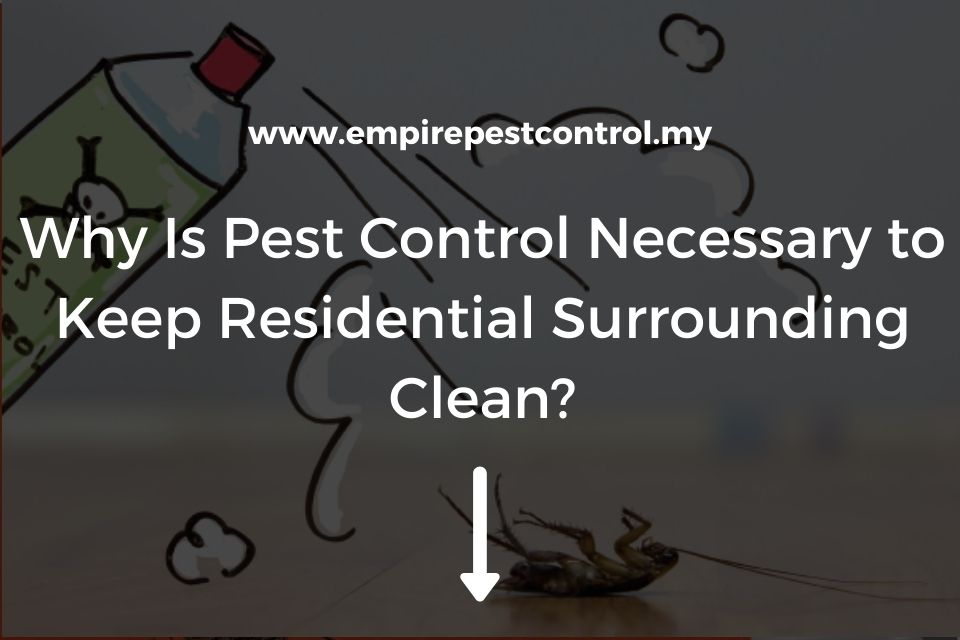 Why Is Pest Control Necessary to Keep Residential Surrounding Clean?