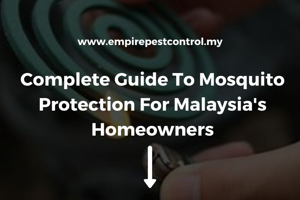 Complete Guide to Mosquito Protection For Malaysia's Homeowners