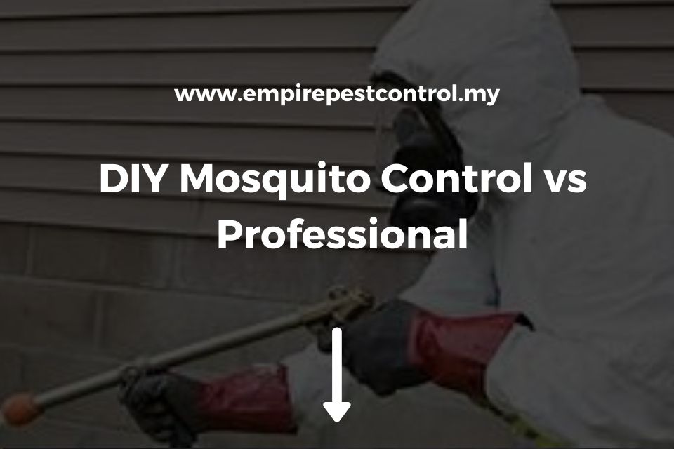 DIY Mosquito Control vs Professional