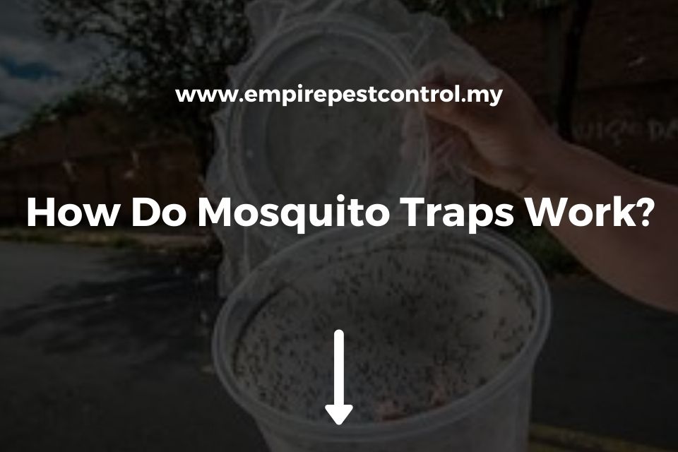 How Do Mosquito Traps Work?