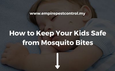 How to Keep Your Kids Safe from Mosquito Bites