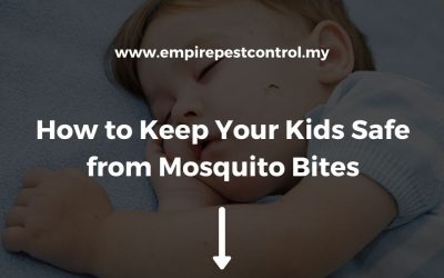 How to Keep Your Kids Safe from Mosquito Bites