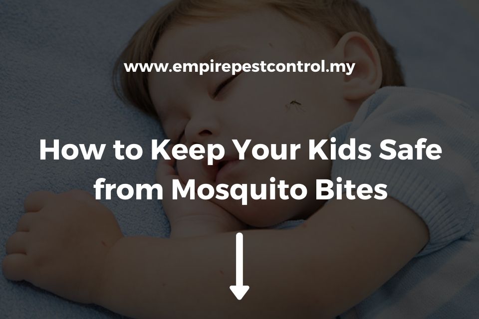 How to Keep Your Kids Safe from Mosquito Bites