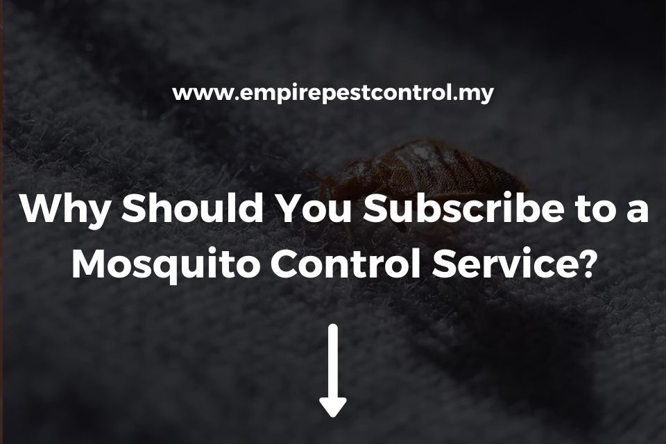 Why Should You Subscribe to a Mosquito Control Service?