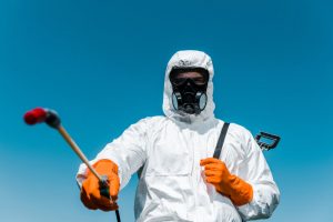 bed bug exterminator