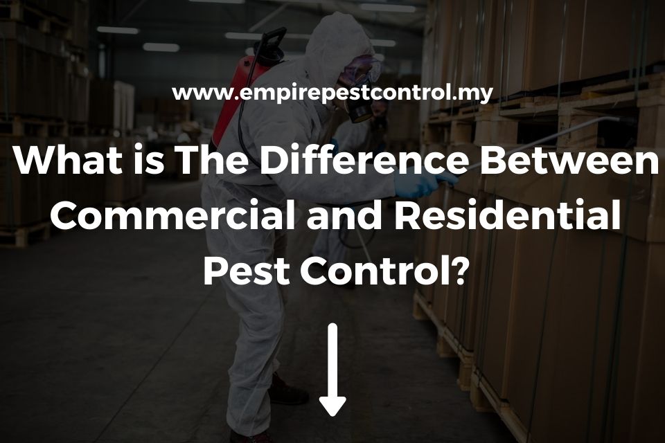 Difference Between Commercial and Residential Pest Control Featured Image