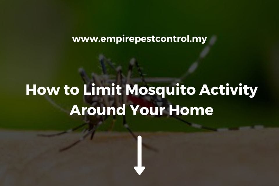 How to Limit Mosquito Activity Around Your Home