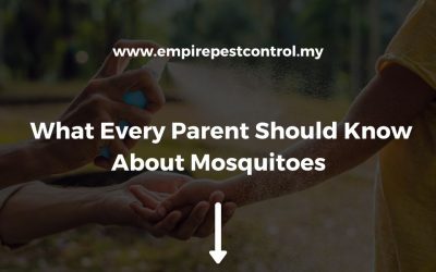 What Every Parent Should Know About Mosquitoes