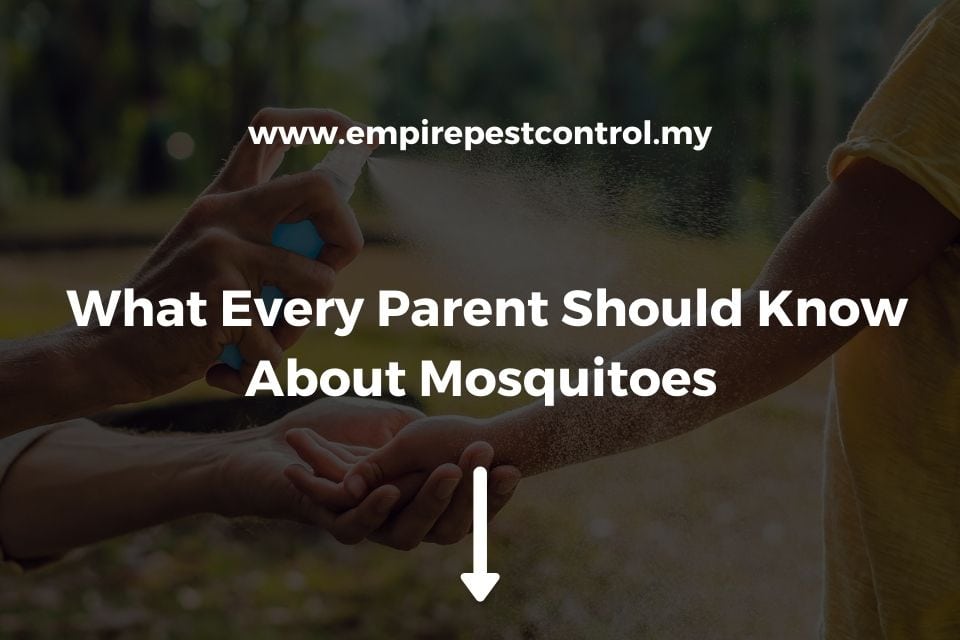 What Every Parent Should Know About Mosquitoes