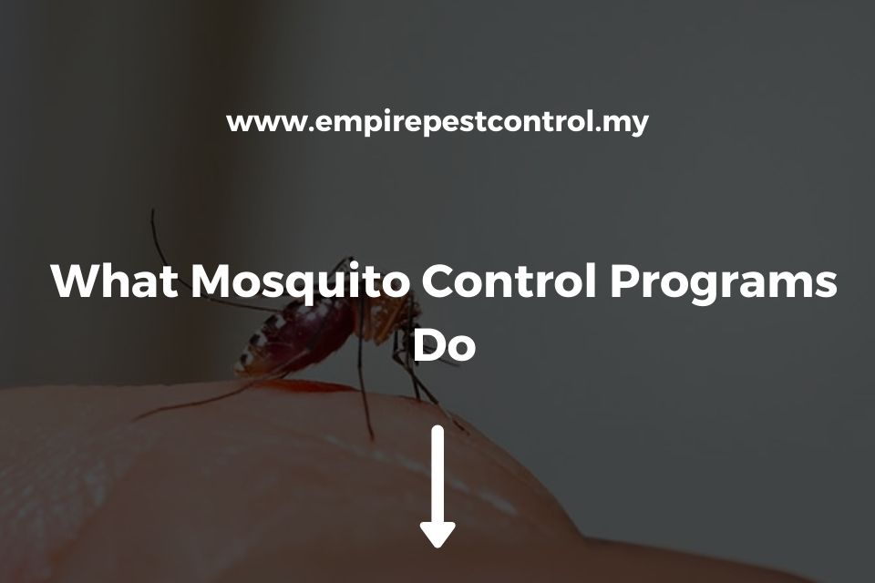 What Mosquito Control Programs Do
