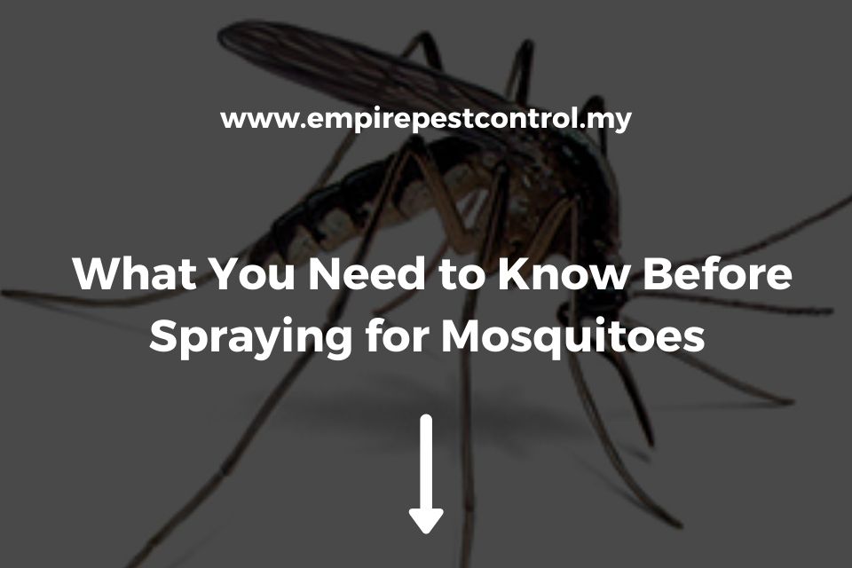 What You Need to Know Before Spraying for Mosquitoes