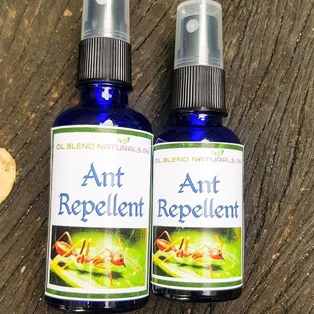 ant repellent