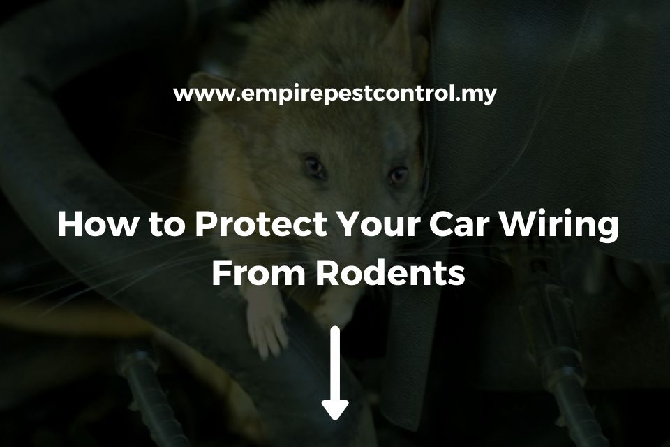 How to Protect Your Car Wiring From Rodents