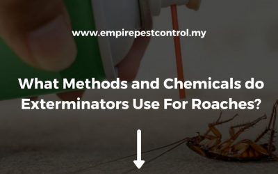 What Methods and Chemicals do Exterminators Use For Roaches?