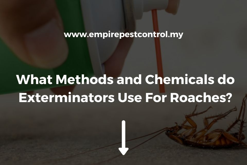 What Methods and Chemicals do Exterminators Use For Roaches