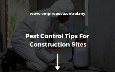 Pest Control Tips For Construction Sites