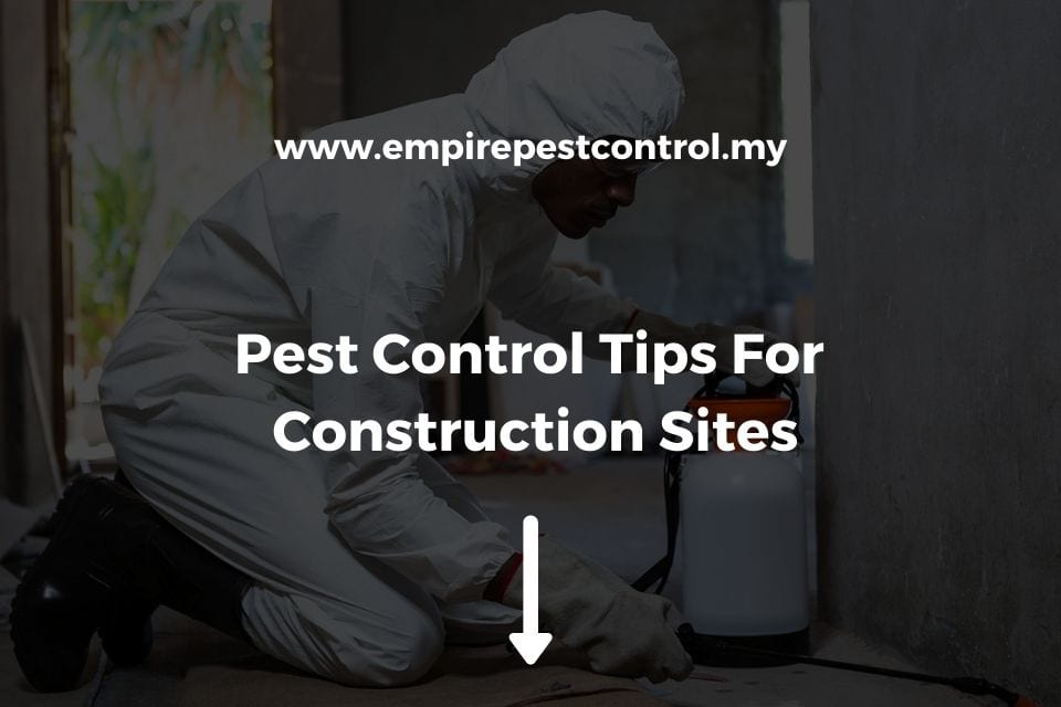 Pest Control Tips For Construction Sites Featured Image
