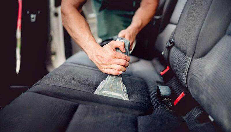 How to get rid of ants in car deals