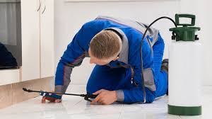Call For a Professional Pest Control Service
