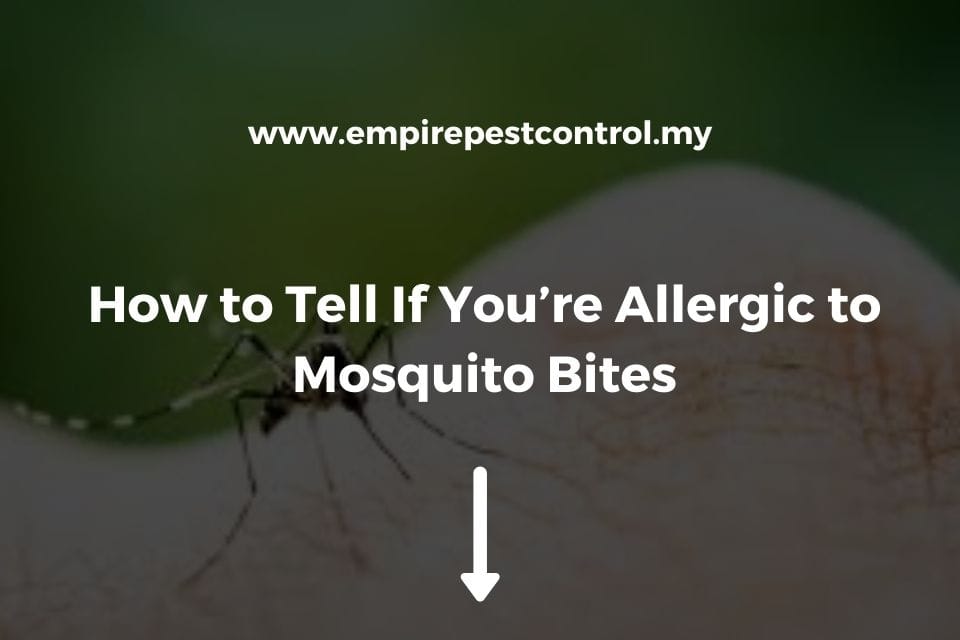 How to Tell If You’re Allergic to Mosquito Bites