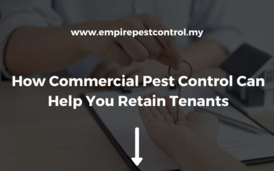 How Commercial Pest Control Can Help You Retain Tenants