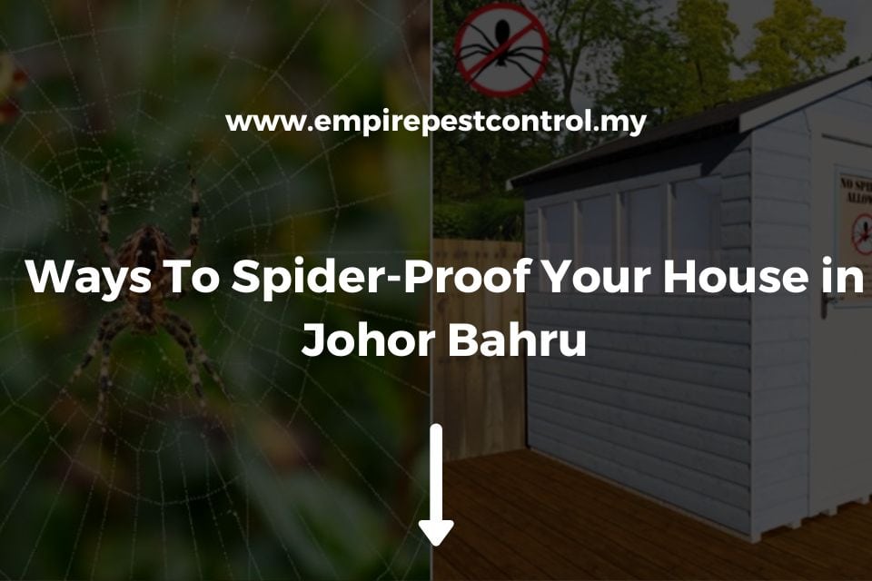 Ways To Spider-Proof Your House in Johor Bahru