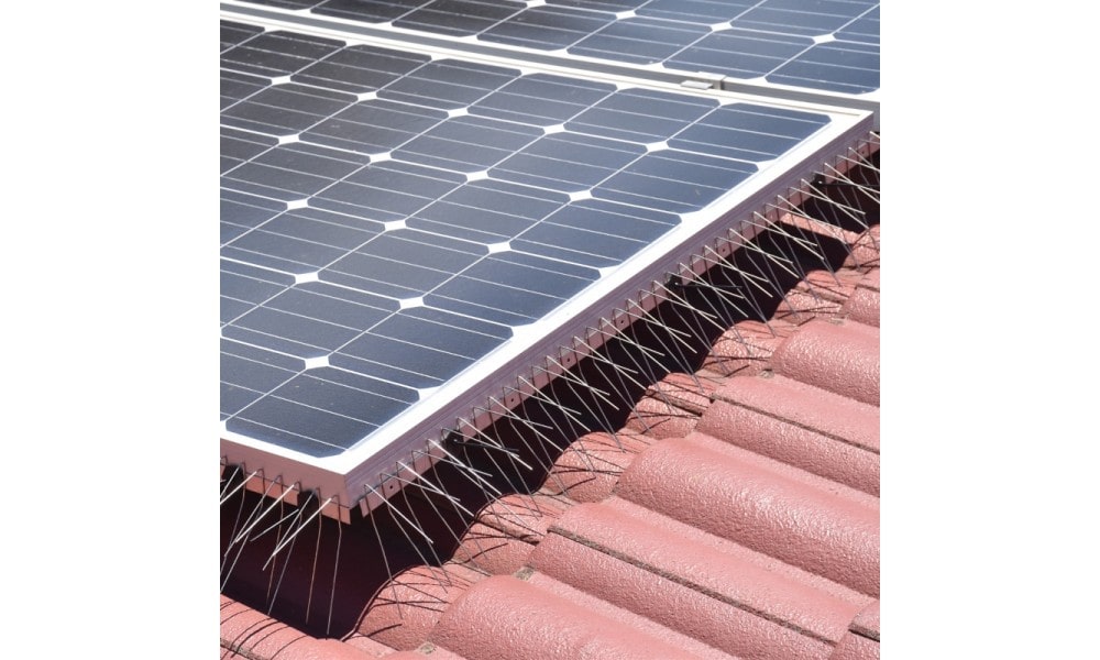 Solar Panel Bird Spikes