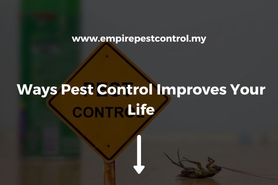 Ways Pest Control Improves Your Life