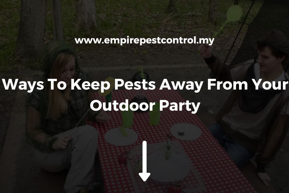Ways To Keep Pests Away From Your Outdoor Party