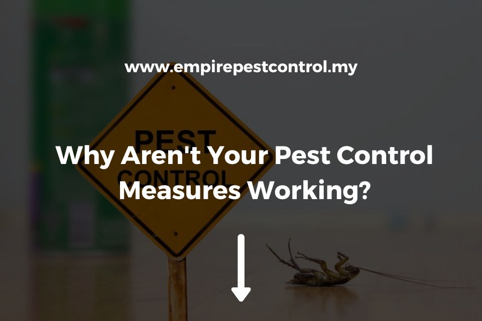Why Aren’t Your Pest Control Measures Working?