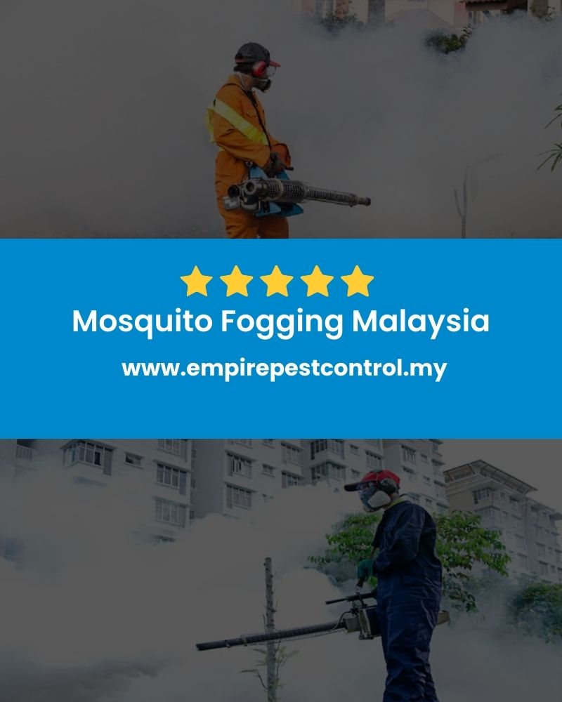 Mosquito Fogging Malaysia