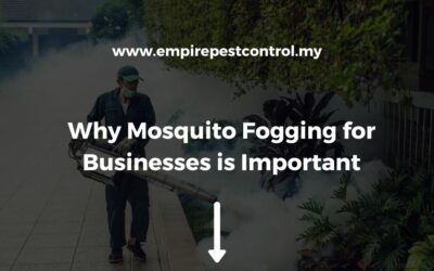 Why Mosquito Fogging for Businesses is Important
